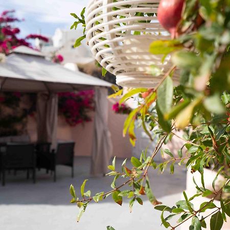 Вилла Santorini Oasis- Cave House Тира Экстерьер фото